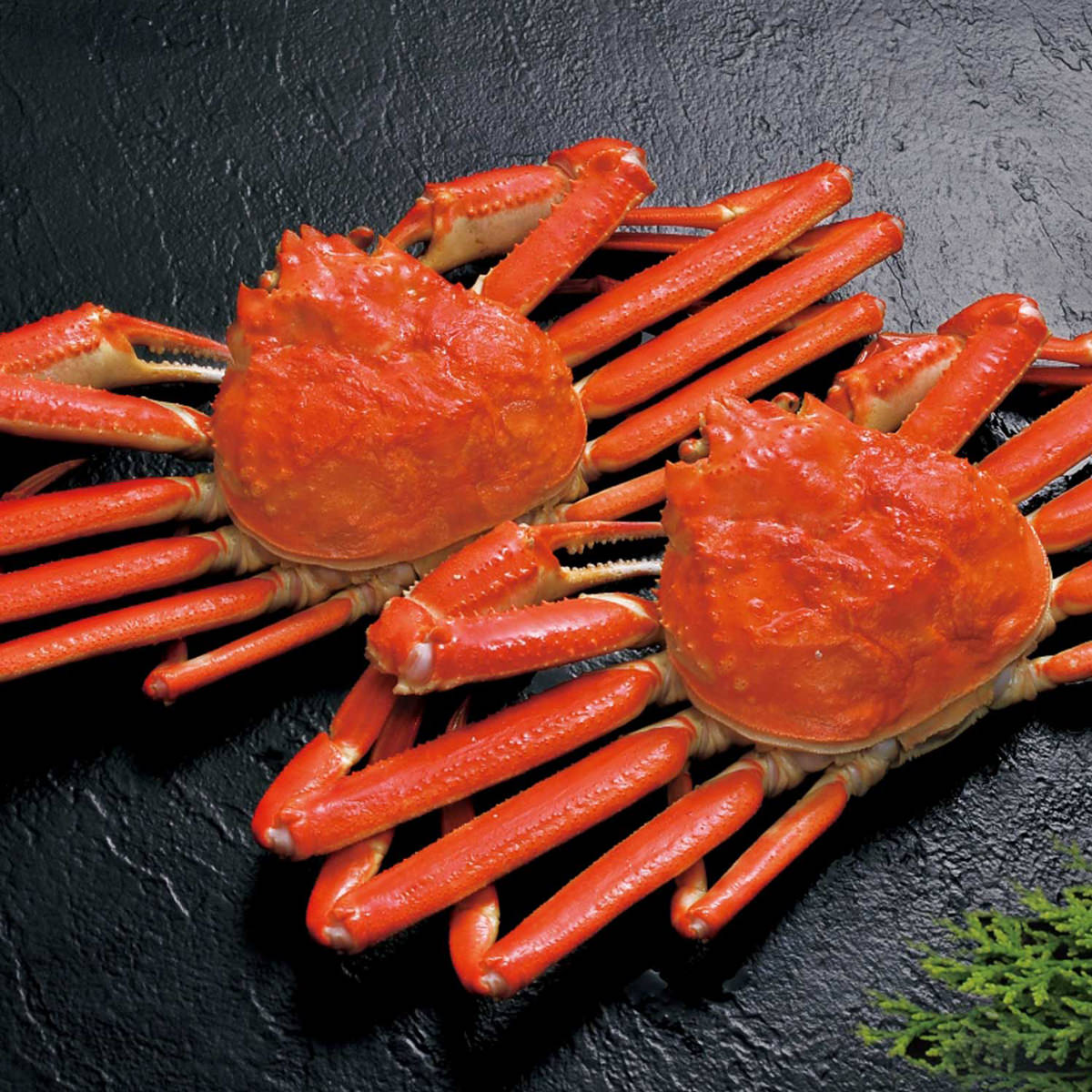 冷凍 ボイル ずわいがに 札幌蟹販 2尾セット 蟹 ズワイガニ 姿 冷凍食品 ゆでずわいがに