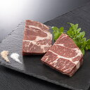 発酵熟成肉チャックアイロールステーキ 150g2枚セット 牛肉 エイジング ビーフ 高級 肉 贅沢 焼き肉 ステーキ バーベキュー