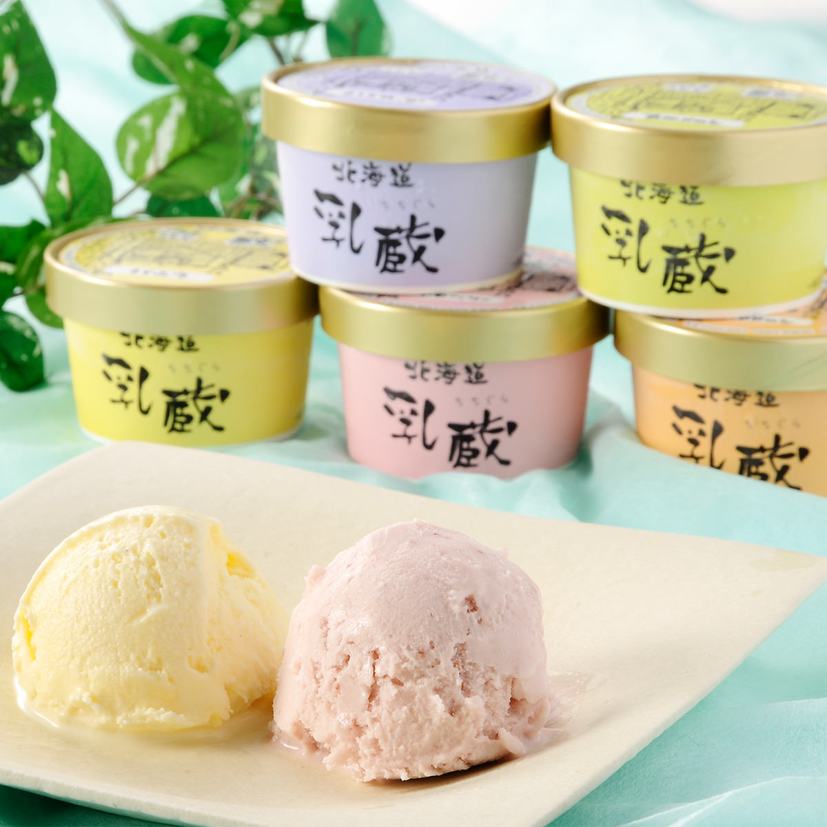 北海道アイスクリーム 5種 10個 セット 乳蔵...の商品画像