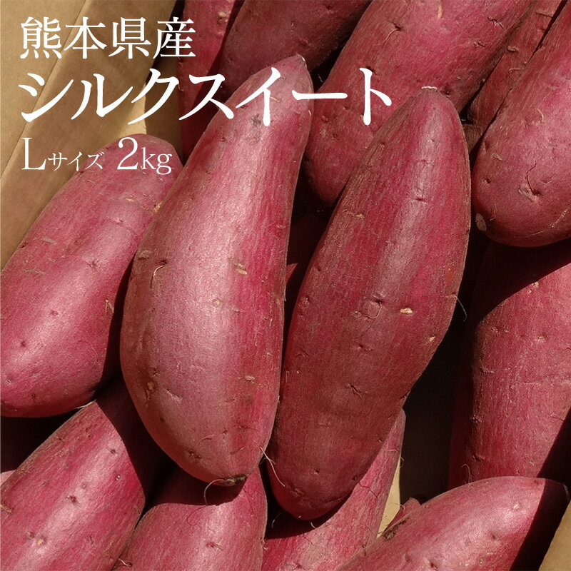 【10%割引】サツマイモ 熊本県産 シルクスイート 国産野菜 さつまいも 焼き芋 A等級 Lサイズ 2kg 九州..