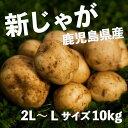 送料無料 新じゃがいも 鹿児島県 長崎県産 春じゃがいも ニシユタカ 秀品 2L～L 10kg 皮ごと美味しい新ばれいしょ 馬鈴薯 岐阜県 ※期間限定商品