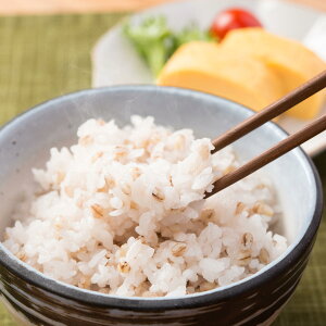 もち麦 讃岐もち麦 ダイシモチ 2kg 国産 大容量 小分け 香川県産 もちむぎ まんでがん 無添加 紫もち麦