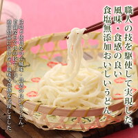 お取り寄せ食品麺類うどん・きしめん