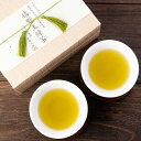 嬉野玉緑茶ギフト 嬉野茶 茶葉 ティーバッグ 九州 お茶 詰合せ 日本茶 ギフトセット 緑茶 国産 佐賀県 山輝園