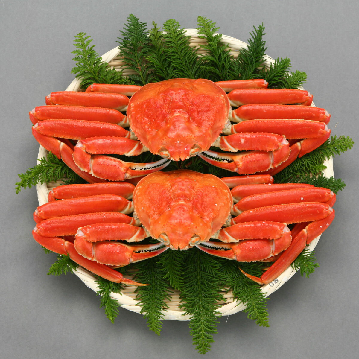 冷凍 ずわい蟹 2杯 ズワイガニ 冷凍品 ずわいがに ボイル済み 冷凍ゆでがに ズワイ蟹 お取り寄せ カニ 楚蟹 ズワイがに 冷凍ボイルズワイガニ【沖縄県・離島...