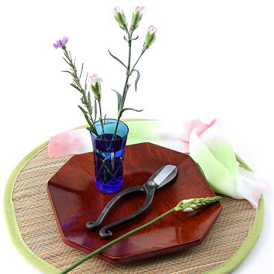 プロ愛用 切り花がスパッと切れるおすすめのハサミ5選 おしゃれな花鋏 植物のタナログ