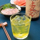 薩摩本格焼酎リキュール よかどん 720ml 山元酒造 鹿児島 麦焼酎 ウコン入り ご当地酒 20度 お酒 株式会社サンムーン 大阪府【沖縄・離島 お届け不可】