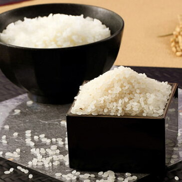 送料無料 ササニシキ＆ひとめぼれ 特別栽培米食べくらべセット