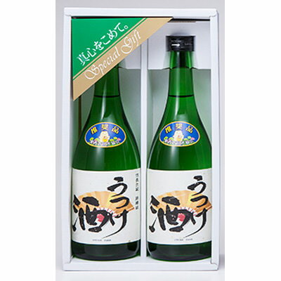 お酒 日本酒 織田信長生誕の地とされる愛知県愛西市の酒蔵が造り上げた うつけ酒 特別純米酒・原酒 720ml 2本セット