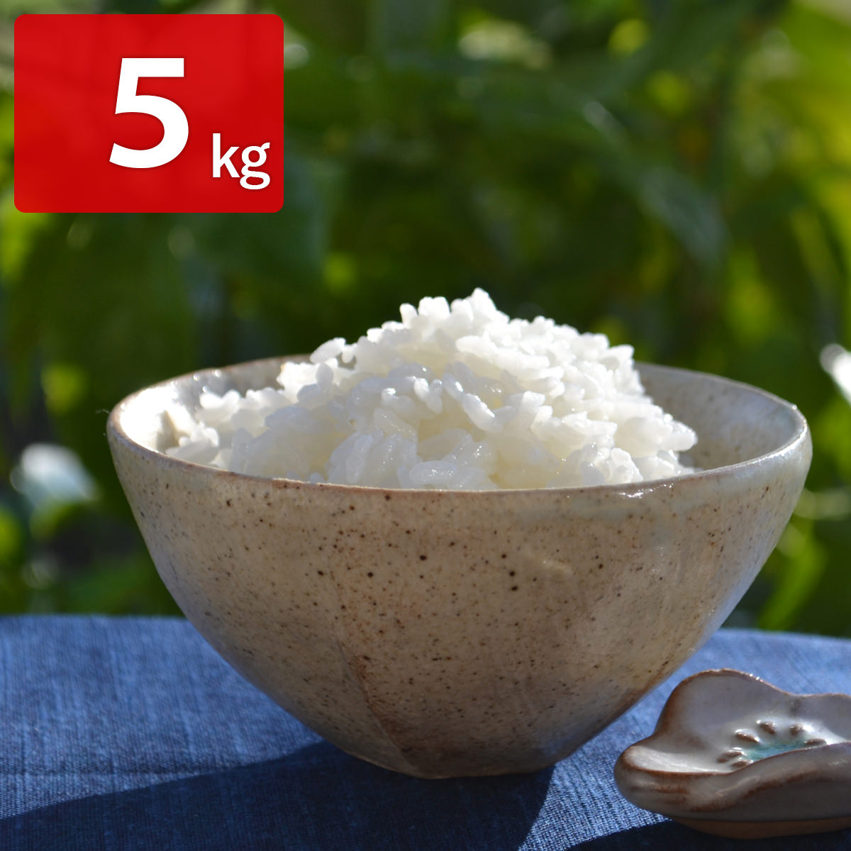菊池掛け干し清流米 にこまる 白米 5kg 米 熊本県産 精白米 無農薬 お米 有機 ごはん 掛け干し 清流米 熊本 阿蘇 精米
