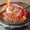 鳥飼畜産の鳥取和牛 特撰カルビ焼肉セット 500g 国産 牛肉 バーベキュー 焼き肉 カルビ 肉 限定 高級 贅沢 鳥取県