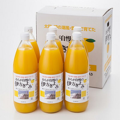 フルーツジュース おらが自慢の伊方きよみジュース 6本 セット 1000ml 清見オレンジ ジュース 果汁 100% オレンジジュース みかん 愛媛 国産 無添加 クリエイト伊方 愛媛県 ミカンのサムネイル