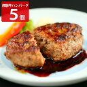 ■エントリーでポイント5倍■ 飛騨牛100% 生ハンバーグ 特選 個包装 飛騨天狗GIFU 冷凍ハンバーグ 5個入り 岐阜県産 黒毛和牛 ハンバーグ 冷凍食品 おかず 肉惣菜