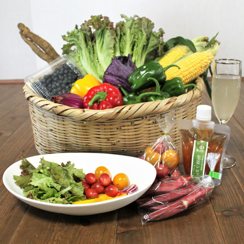 【10%割引】おいしいお野菜便葉な果菜ボックス〔10品程度〕 おいしい野菜の店 葉な果菜 大分県