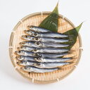 ■エントリーでポイント5倍■ うるめ一夜干し〔1200g〕 松岡水産 熊本県