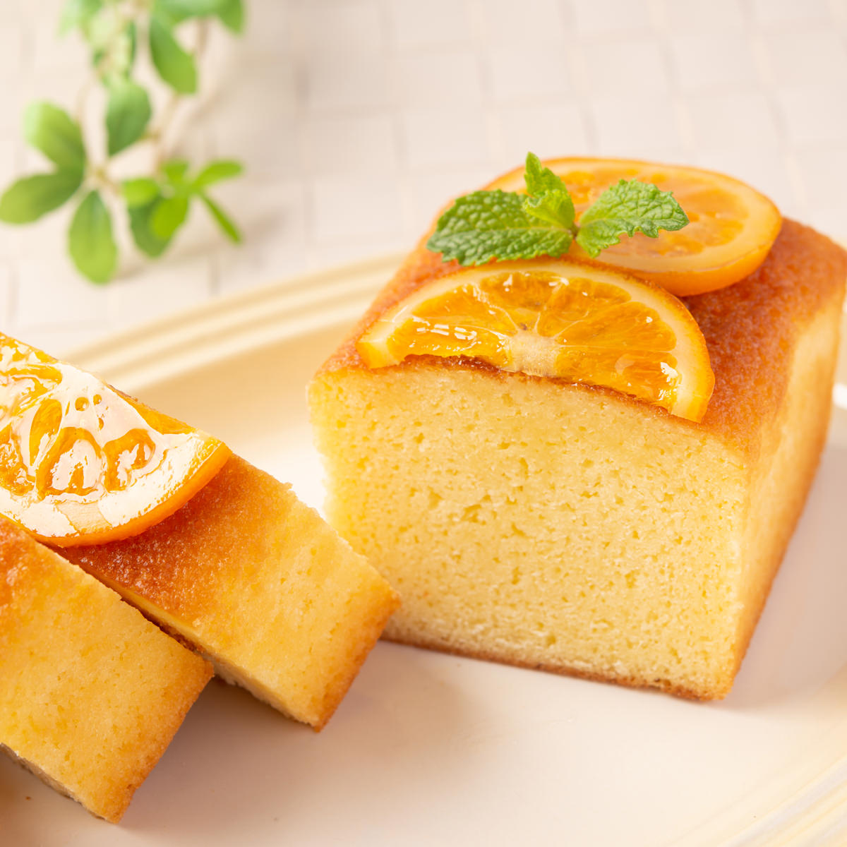 夏ギフトに喜ばれる美味しいオレンジケーキの通販おすすめランキング ベストオイシー