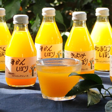 10%割引 100%ピュアジュース 10本 ギフト セット 無添加 みかんジュース ストレート みかん 和歌山 有田 果汁 フルーツジュース きよみ あまなつ 蜜柑 清見 甘夏 瓶 飲料 ドリンク 特産 詰め合わせ 伊藤農園 和歌山県