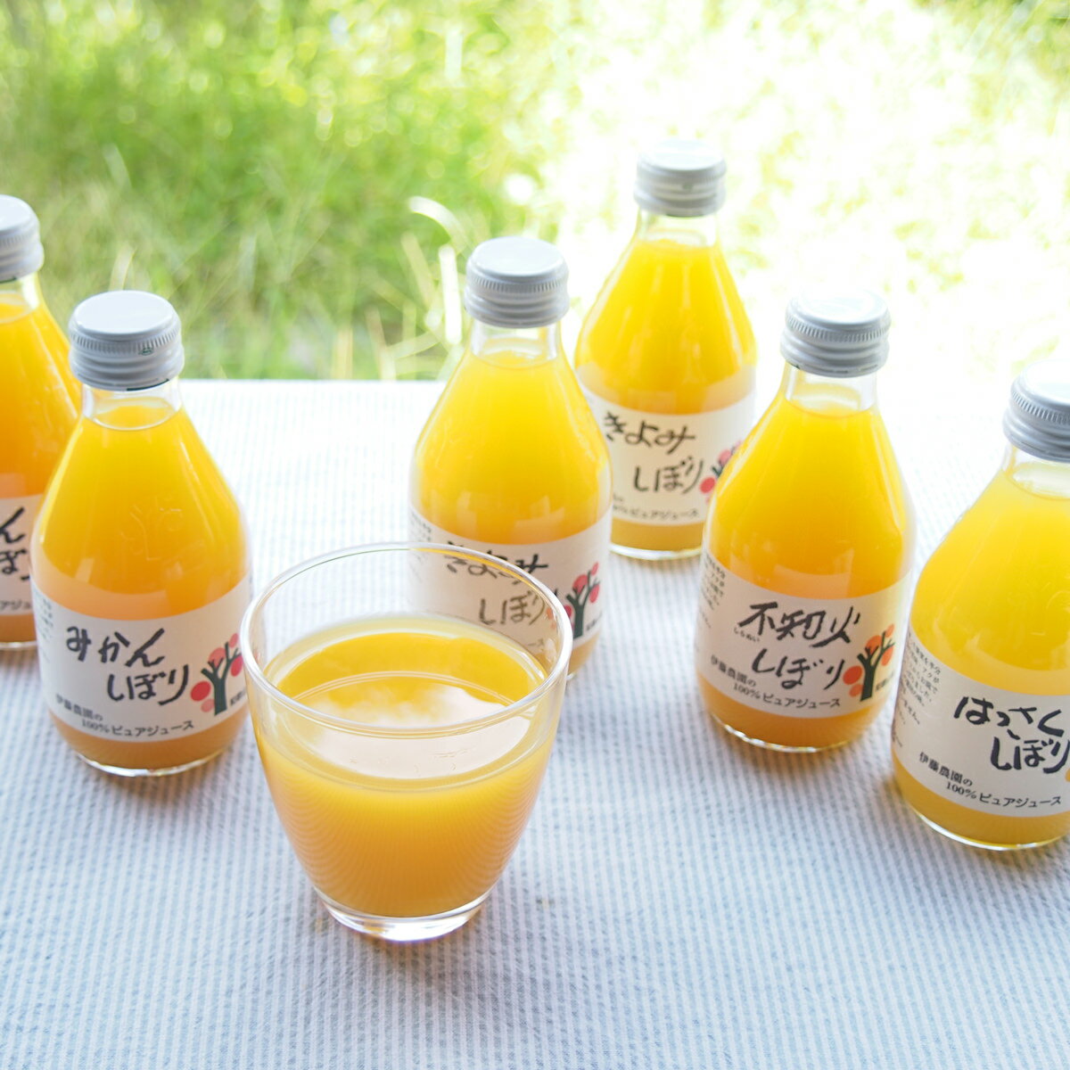 和歌山有田 伊藤農園 100％ピュアジュース 5種 詰め合わせギフト フルーツジュース 果汁100％ ストレートジュース お取り寄せ 和歌山県