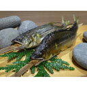 天然鮎塩焼き TAU-100C 清流長良川 冷凍 焼き魚 あゆの塩焼き 岐阜県産 国産 魚料理 郷土料理 ご当地グルメ