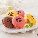 イーペルの猫祭り サンドクッキー 3種計15個 詰め合わせ クッキー 個包装 スイーツ 焼菓子 チョコサンドクッキー