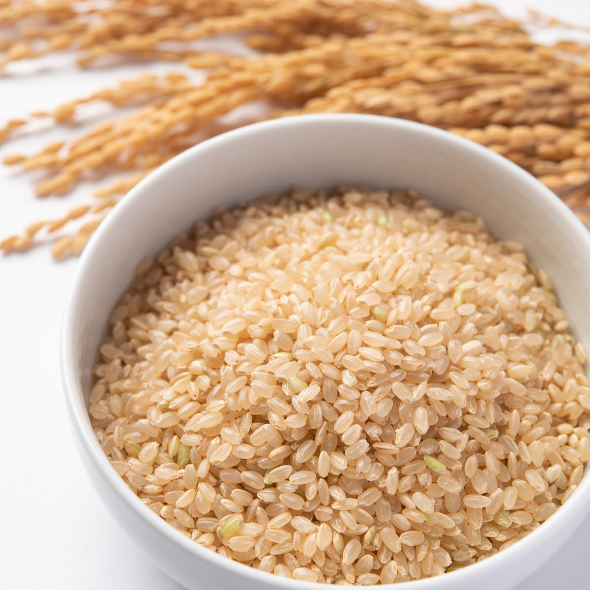特別栽培米 あきたこまち 玄米 5kg お米 真空パック 米 ごはん 秋田県産 佐々木米穀店