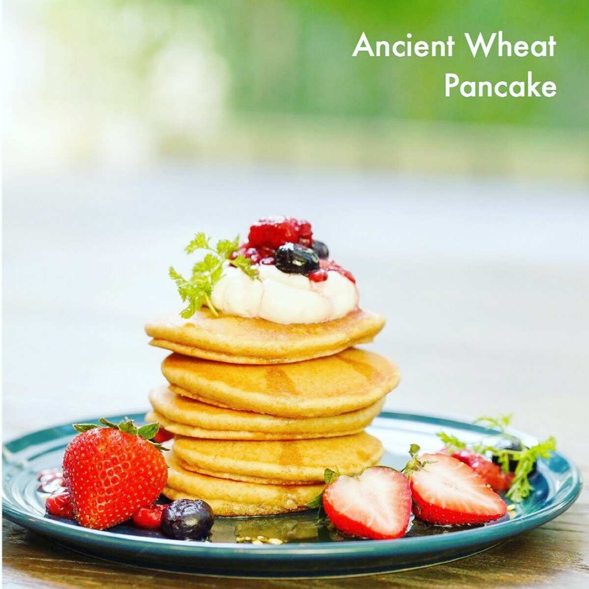 即納最大半額 チャヤマクロビ 古代小麦パンケーキミックス 12個 詰合せ ホットケーキミックス お菓子の素 パンケーキミックス ホットケーキ パンケーキ 古代小麦 おやつ 軽食 低gi 甘さ控えめ 国産 ヴィーガン マクロビ マクロビオティック 東京 チャヤ マクロビ