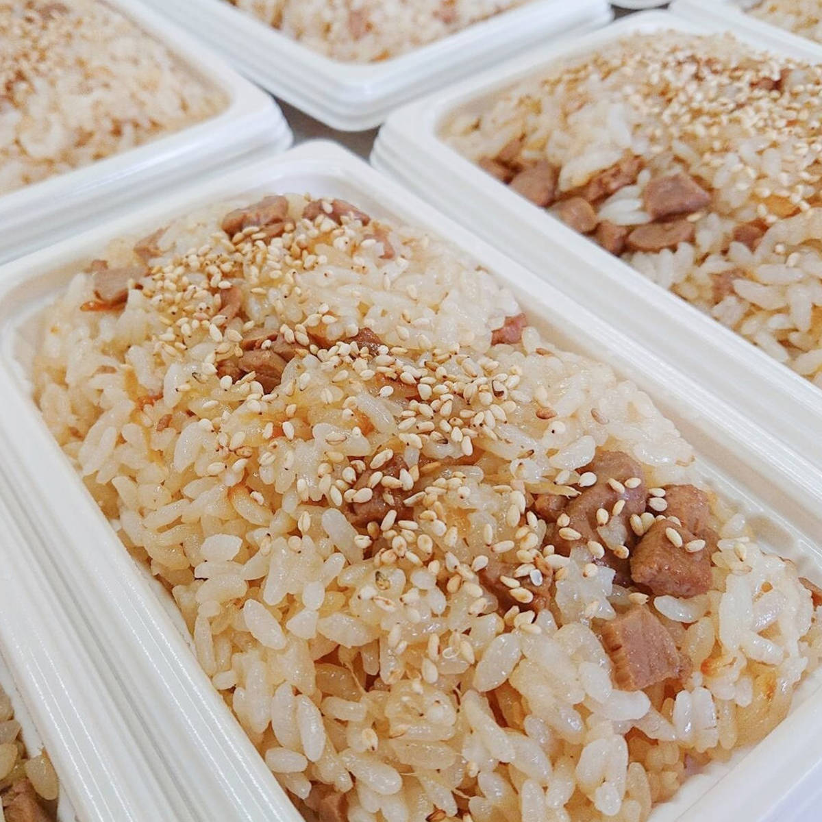 かつおめし セット 10個 カツオ ごはん 冷凍 炊き込みご飯 レンジであたためるだけ...