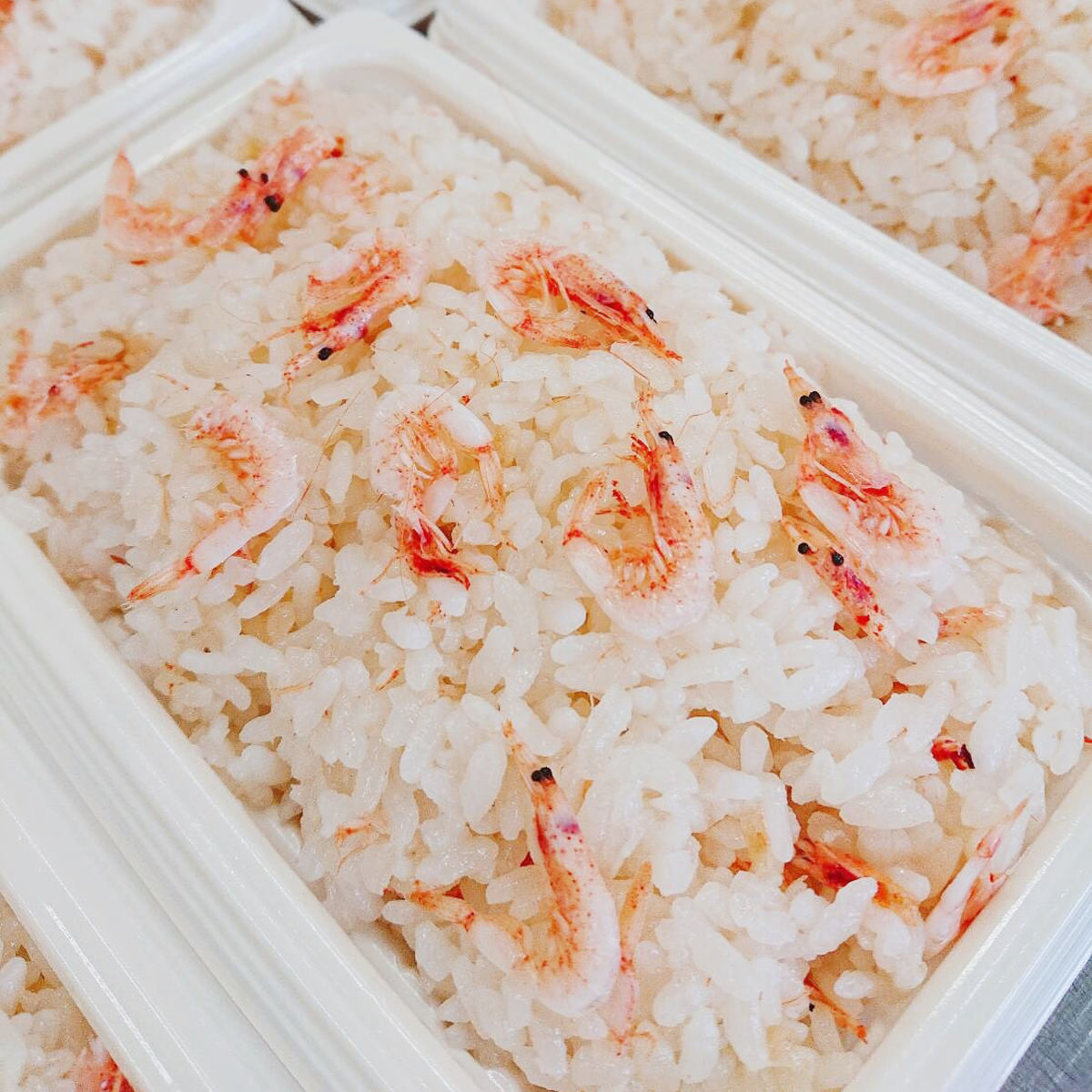 ランキング1位受賞 桜えびごはん セット 10個 さくらえび ごはん 冷凍 炊き込みご飯 レンジであたためるだけ 桜エビご飯 静岡県 駿河湾産 村兼水産 受注発注 Sisagil Com ランキング1位受賞 桜えびごはん セット 10個 さくらえび ごはん 冷凍 炊き込みご飯 レンジであたためるだけ 桜エビご飯 静岡県 駿河湾産 村兼水産 受注発注 Sisagil Com