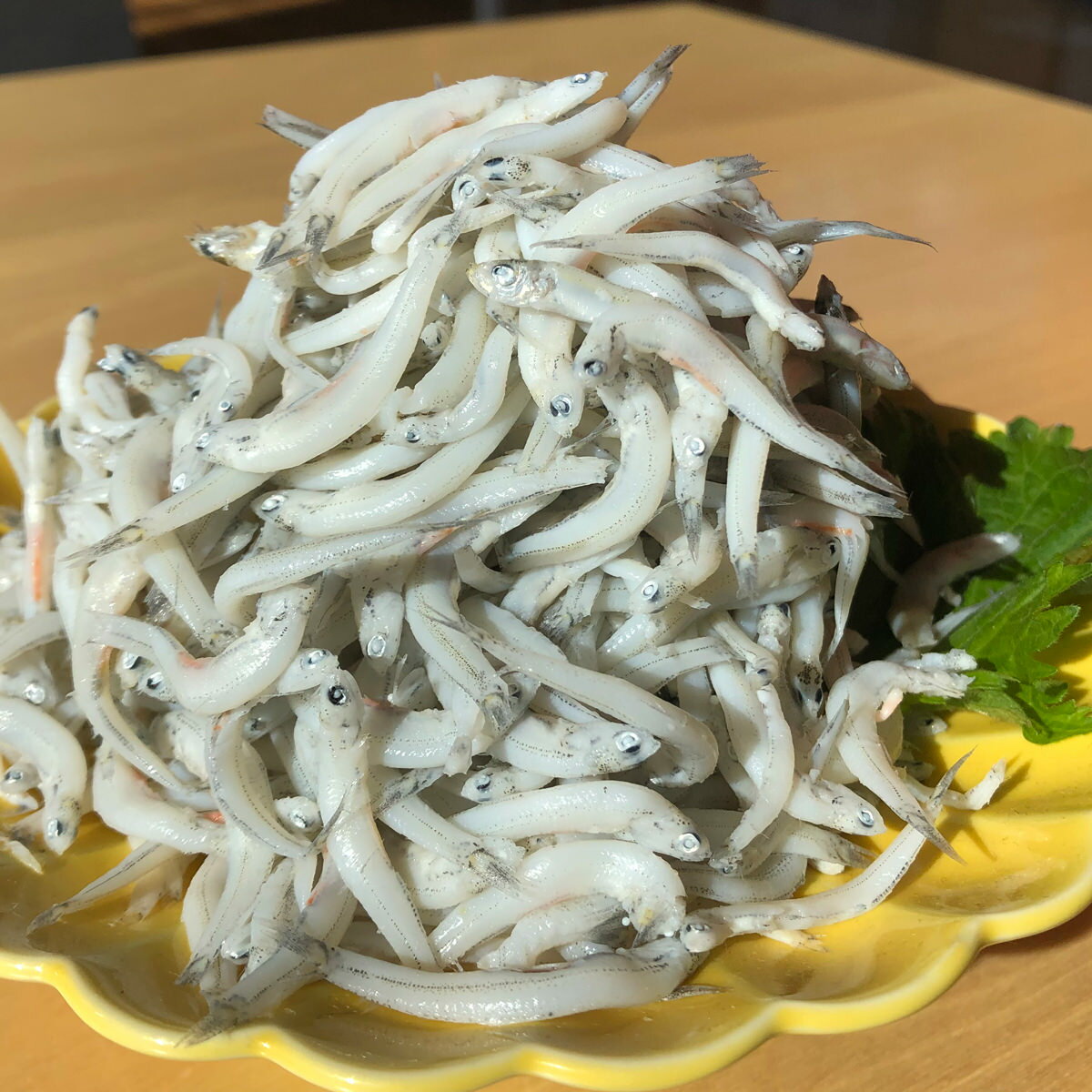 �����餹 ���Ȥ����餹 ������٥��å� 2�� �͹礻 ���餹 �� ���� �ں� ���� �����������亮 ���餹Ч ������� ���亮 ��ɲ����