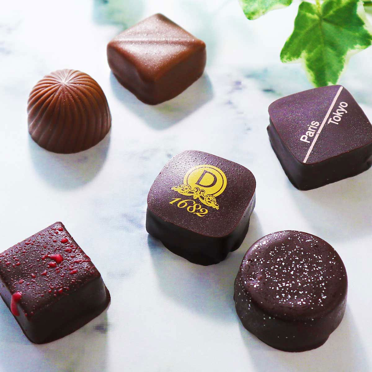 ボンボンショコラ 高級 チョコレート 15種類 お取り寄せグルメ ギフト ダロワイヨ 人気 送料無料 マカロン コフレドショコラ 15個入 15種 東京 人気の贈り物が大集合 洋菓子 プラリネ ジャンドゥージャ デザート 詰合せ クーベルチュール スイーツ ガナッシュ おやつ お