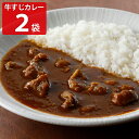 ■エントリーでポイント5倍■ 焼肉ヒロミヤ+ 黒毛和牛すじ特製カレー 辛口 2個セット 冷凍食品 カレー ビーフカレー 肉惣菜 贅沢 牛スジカレー 焼き肉屋のカレー 肉料理 国産 カレー 惣菜