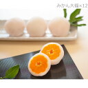 小原紅みかん大福 12個 大福 和菓子 小原紅みかん お菓子 みかん大福 スイーツ デザート 果物 おやつ みかん 香川県産 だいふく 羽二重餅 さぬき讃フルーツ 香川 さぬき農園ぐらし【北海道・沖縄県・離島 配送不可】