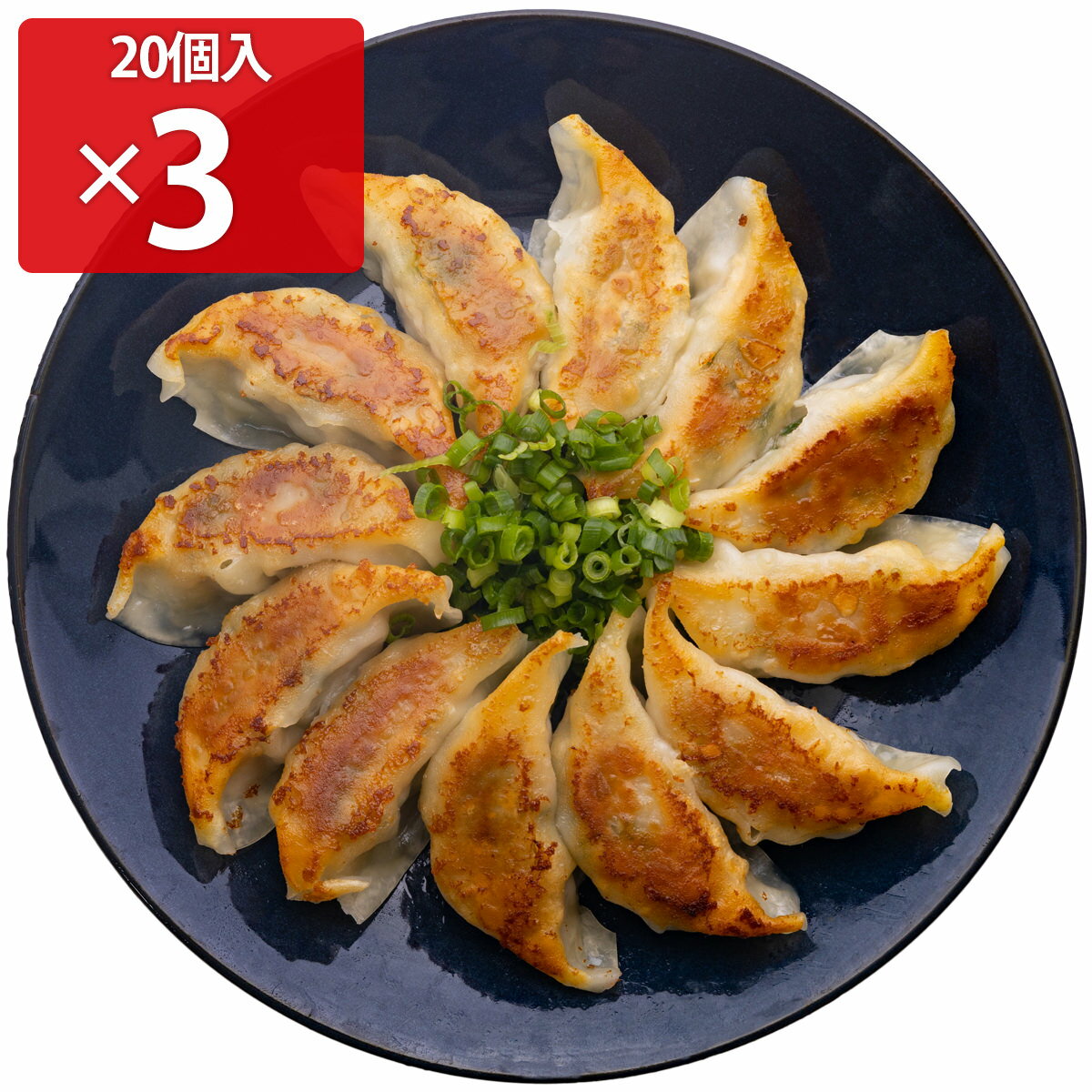 大阪ねぎ餃子 60個セット 餃子 点心 惣菜 ねぎ餃子 青ねぎ 国産 ぎょうざ 冷凍 生餃子 おかず おつまみ 中華 ギョーザ 大阪 お好み焼きゆかり