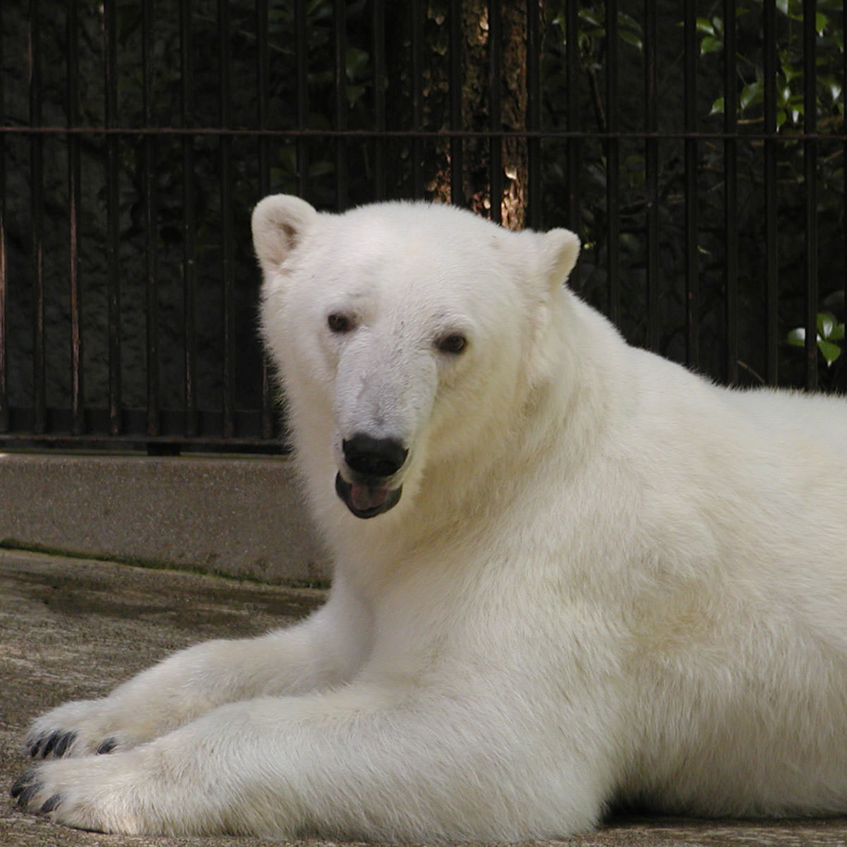 道後サイダー 飲み比べセット