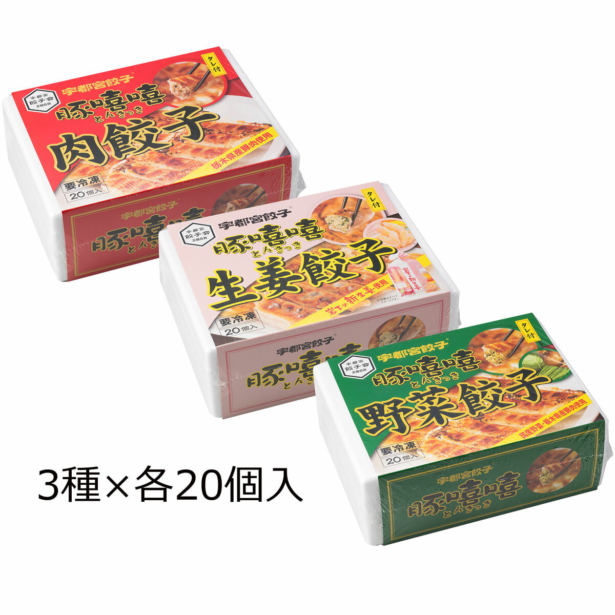 肉餃子・野菜餃子・生姜餃子 20個入各1箱 3種 詰合せ 餃子 惣菜 中華 ぎょうざ 生姜野菜 岩下の新生姜 冷凍 昼食 夕食 おつまみ ギョーザ 冷凍餃子 栃木 宇都宮餃子とんきっき