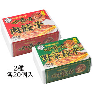 肉餃子・野菜餃子 20個入各1箱 2種 詰合せ 餃子 惣菜 中華 ぎょうざ 野菜 中華惣菜 おかず 冷凍 昼食 夕食 夜食 軽食 おつまみ ギョーザ お酒のあて 冷凍餃子 栃木 宇都宮餃子とんきっき