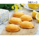 宮崎れもんケーキ レモッタ BOX5個入3箱 ケーキ 洋菓子 パウンドケーキ レモンケーキ レモン スイーツ デザート レモンピール 宮崎県産 おやつ 【北海道...