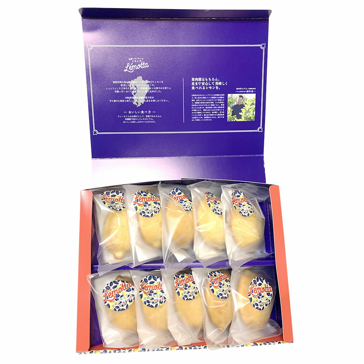 �ܺ���󥱡��� ���å� BOX10����2Ȣ ������ �βۻ� �ѥ���ɥ����� ���󥱡��� ���� �������� �ǥ����� ����ԡ��� �ܺ긩�� ����� ���̳�ƻ�����졦Υ�� ���Ϥ��Բġ�