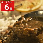 何度でも食べたくなるスパイシーキーマカレー 6食 セット 小塚舞子監修 カレー レトルト 惣菜 簡単調理 キーマカレー レトルトカレー【北海道・沖縄県・離島 配送不可】