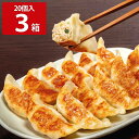 とんきっき餃子 20個入 3箱セット 360g×3 中華惣菜 宇都宮餃子 お取り寄せ ご当地餃子 点心 冷凍ぎょうざ 野菜たっぷり おかず ギョウザ おつまみ
