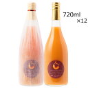 高糖度ブラッドオレンジジュース タロッコ 12本 果実飲料 ジュース オレンジジュース オレンジ 無添加 果汁100% 愛媛県産 ストレートジュース 愛媛 エヒ...