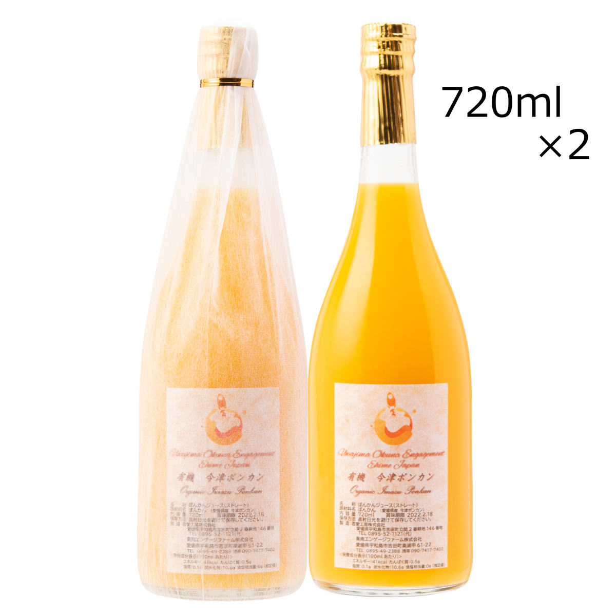 今津ポンカンジュース 2本 ジュース ポンカン みかん 果実飲料 国産 果汁100％ 愛媛県産 今津ポンカン ストレートジュース ドリンク 愛媛 エヒメエンゲージファーム
