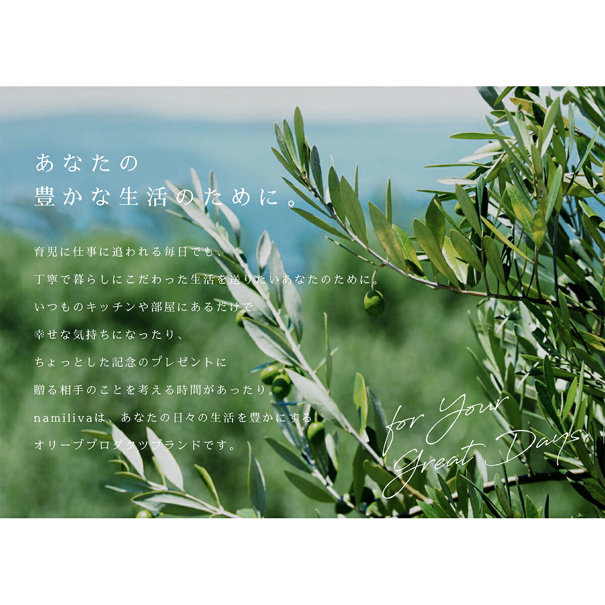 オリーブオイルビネガーOliveBREND&VINEGARセットお酢国産酢ビネガー無添加贅沢調味料香川namiliva