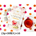 ぽかぽかルイボスティー 20包入10袋 ブレンド茶 ティーバッグ ルイボスティー 健康茶 ジンジャー フレーバーティー 生姜ブレンド茶 ティーパック ハーブティー 便利 手軽 生姜 ヘスペリジン 温活(4)