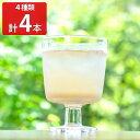 ■エントリーでポイント5倍■ 土佐山ジンジャーエール Old&New 飲み比べセット 詰め合わせ ジンジャーエール 辛口 甘口 炭酸飲料 土佐山 高知 しょうが...