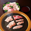 南国バーベキュー 牛・豚・鶏セット 豚肉 国産 牛肉 焼き肉 鶏肉 食べ比べ 焼肉 鶏もも 熊本産 鶏むね 豚ロース 沖縄 クラシタ 宮崎産【北海道・沖縄・離島 お届け不可】