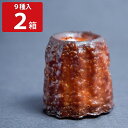 京都奥丹波カヌレ 9種入2箱セット お菓子 京都 スイーツ 焼菓子 詰め合わせ お取り寄せスイーツ おやつ ご当地スイー…