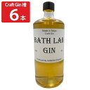 羽田ビール BATH LAB GIN #002 檜 6本セット ジン リキュール スピリッツ クラフトジン お酒 檜 羽田ブルワリー 羽田麦酒