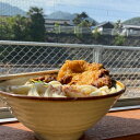 上戸うどん監修 讃岐うどん 4食セット うどん 麺類 さ...