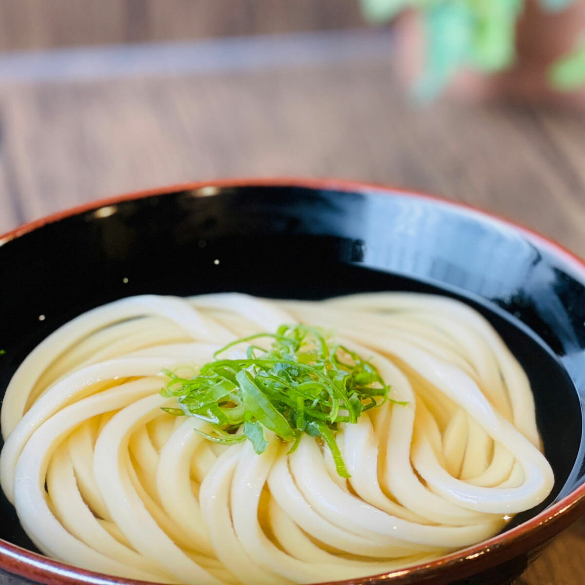 瀬戸内讃岐生うどん 6食セット うどん 麺類 生うどん 讃岐うどん 香川 名物 瀬戸内 さぬき 生麺 昼食 軽食 夜食 本場 讃岐生うどんのサムネイル